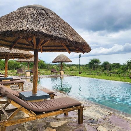 Africa Safari Serengeti Ikoma Zewnętrze zdjęcie