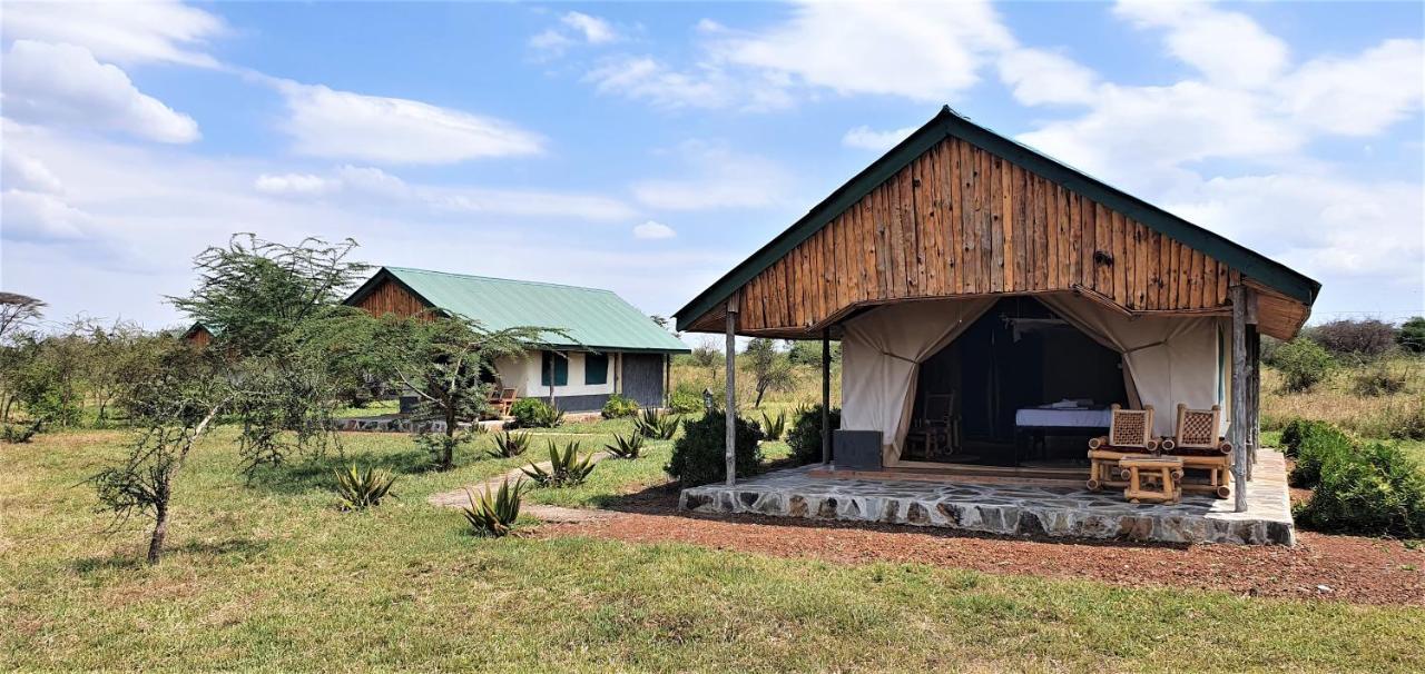 Africa Safari Serengeti Ikoma Zewnętrze zdjęcie