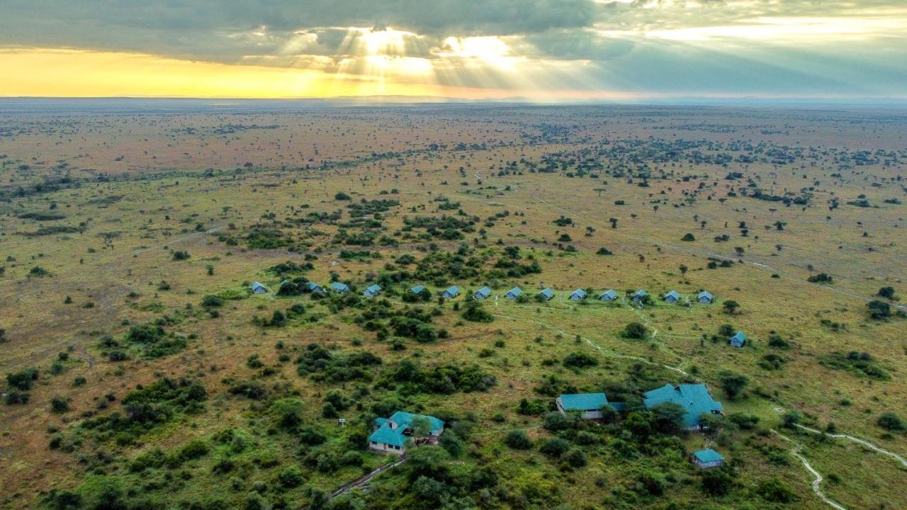 Africa Safari Serengeti Ikoma Zewnętrze zdjęcie