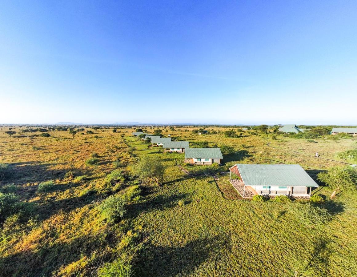 Africa Safari Serengeti Ikoma Zewnętrze zdjęcie