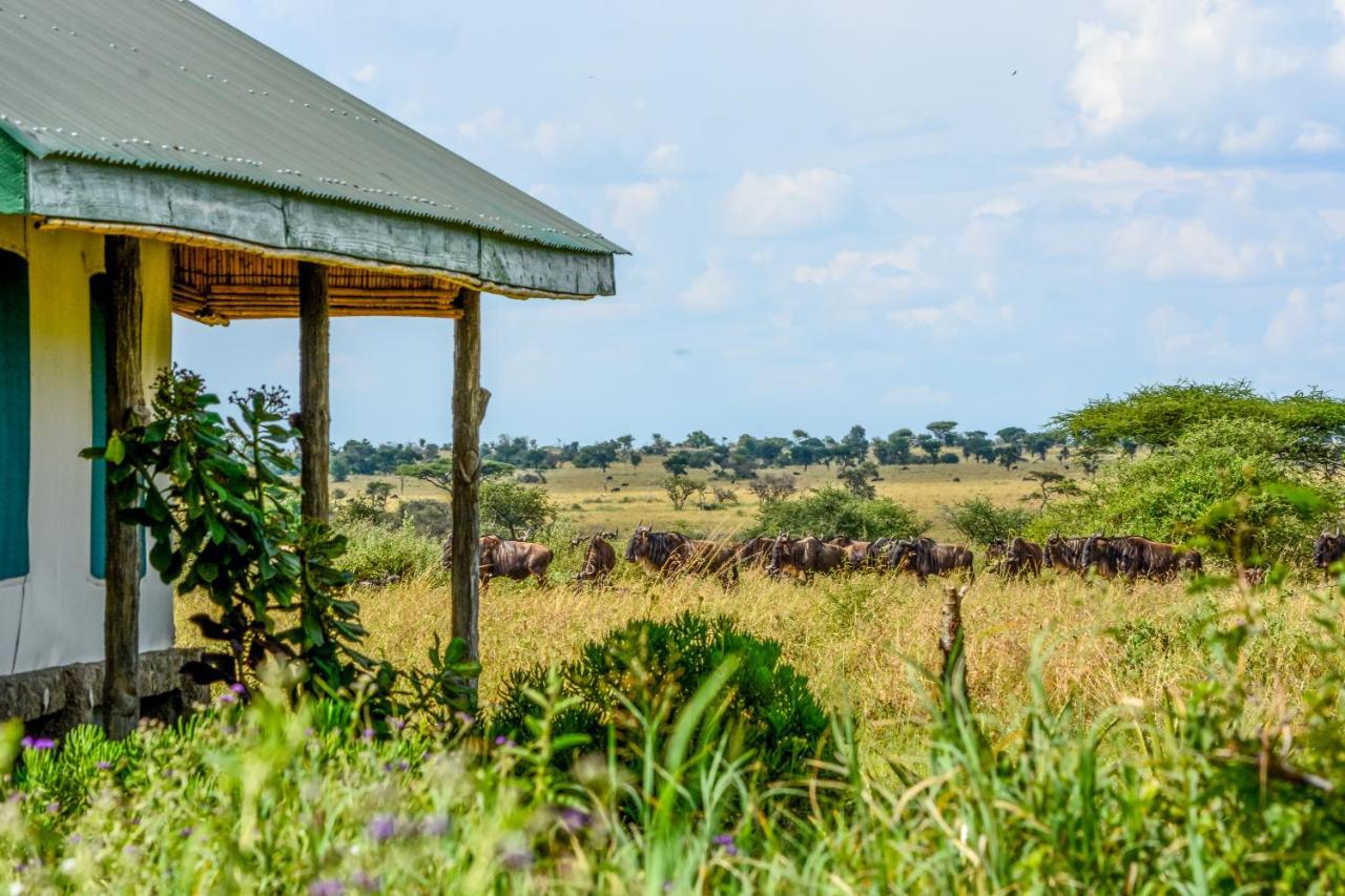 Africa Safari Serengeti Ikoma Zewnętrze zdjęcie