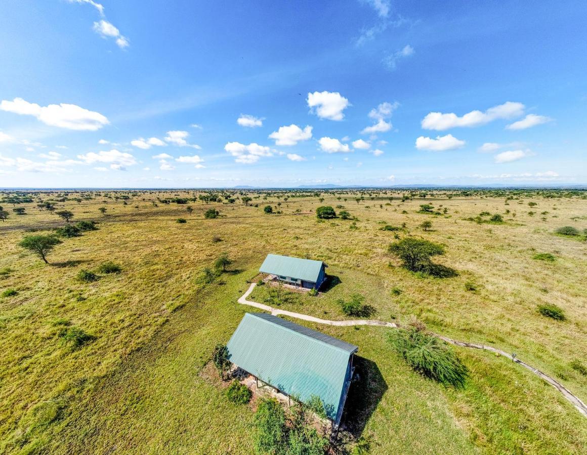 Africa Safari Serengeti Ikoma Zewnętrze zdjęcie