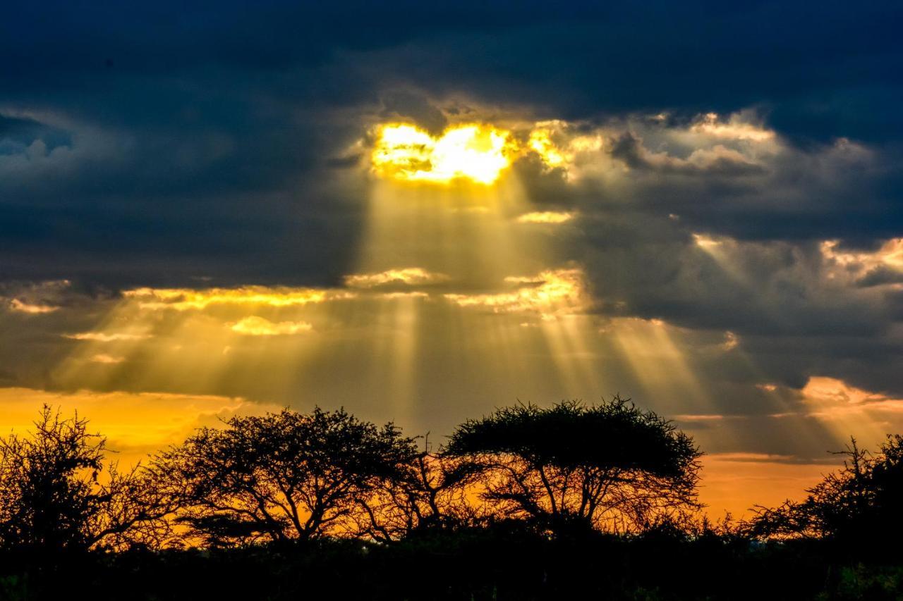 Africa Safari Serengeti Ikoma Zewnętrze zdjęcie