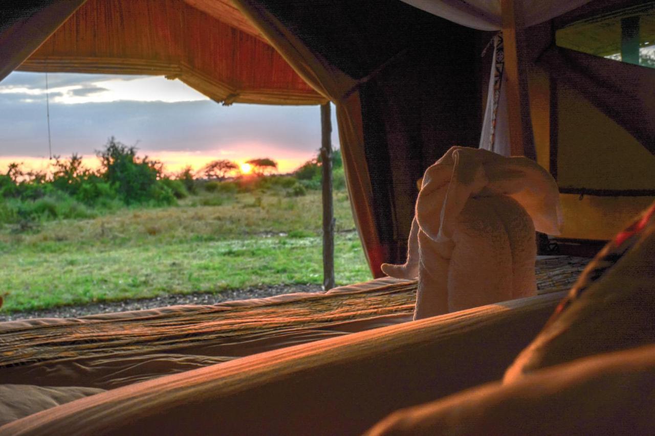 Africa Safari Serengeti Ikoma Zewnętrze zdjęcie