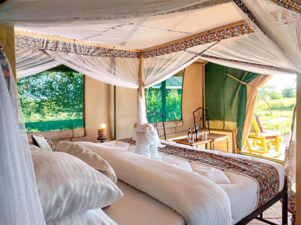 Africa Safari Serengeti Ikoma Zewnętrze zdjęcie