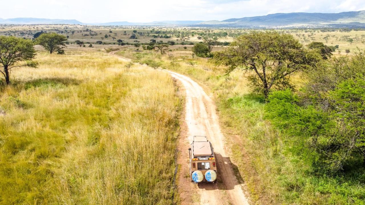 Africa Safari Serengeti Ikoma Zewnętrze zdjęcie