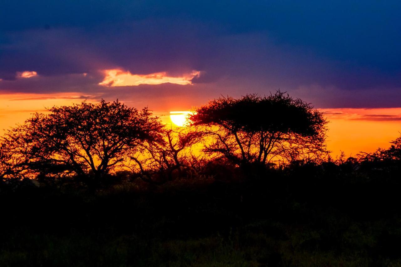Africa Safari Serengeti Ikoma Zewnętrze zdjęcie