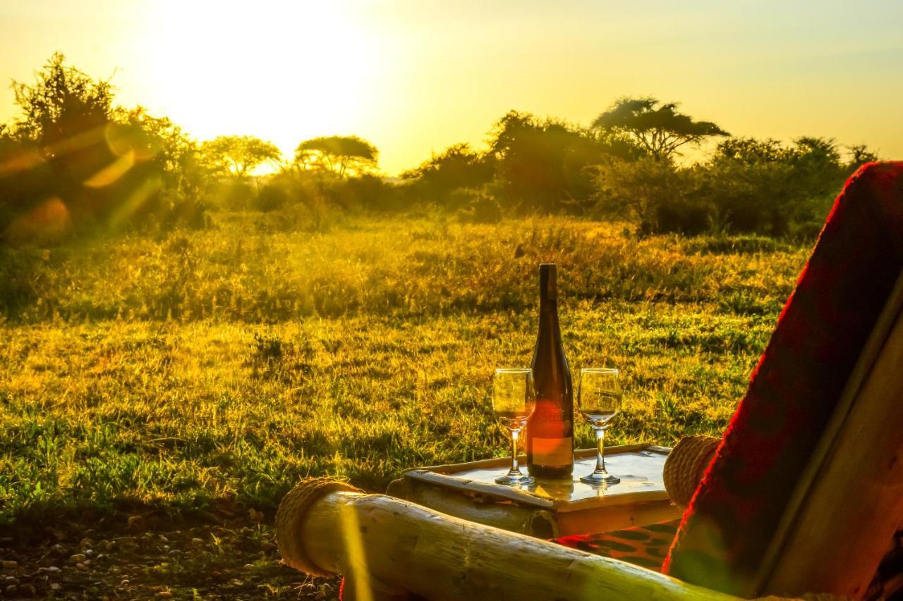 Africa Safari Serengeti Ikoma Zewnętrze zdjęcie