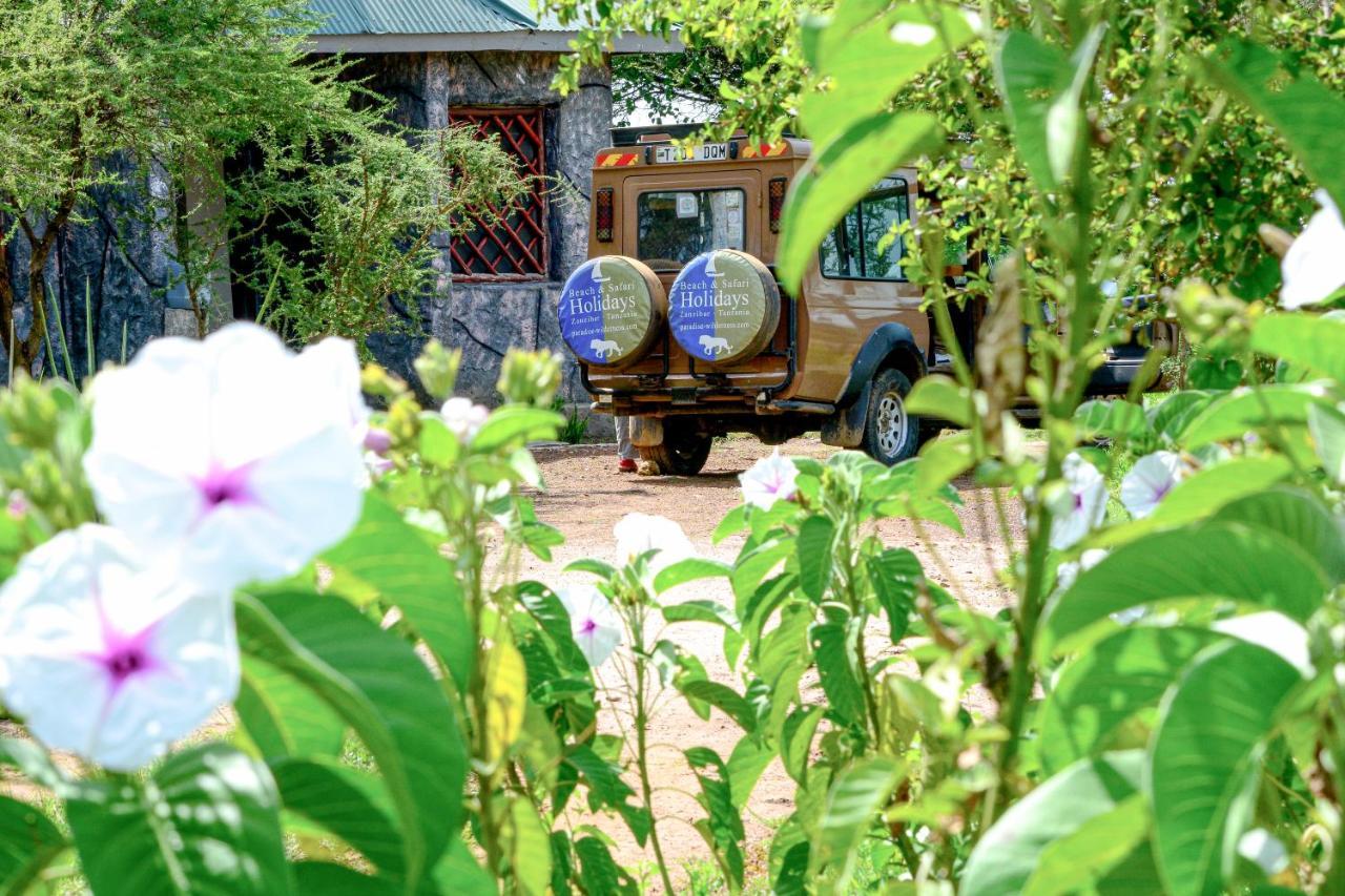Africa Safari Serengeti Ikoma Zewnętrze zdjęcie