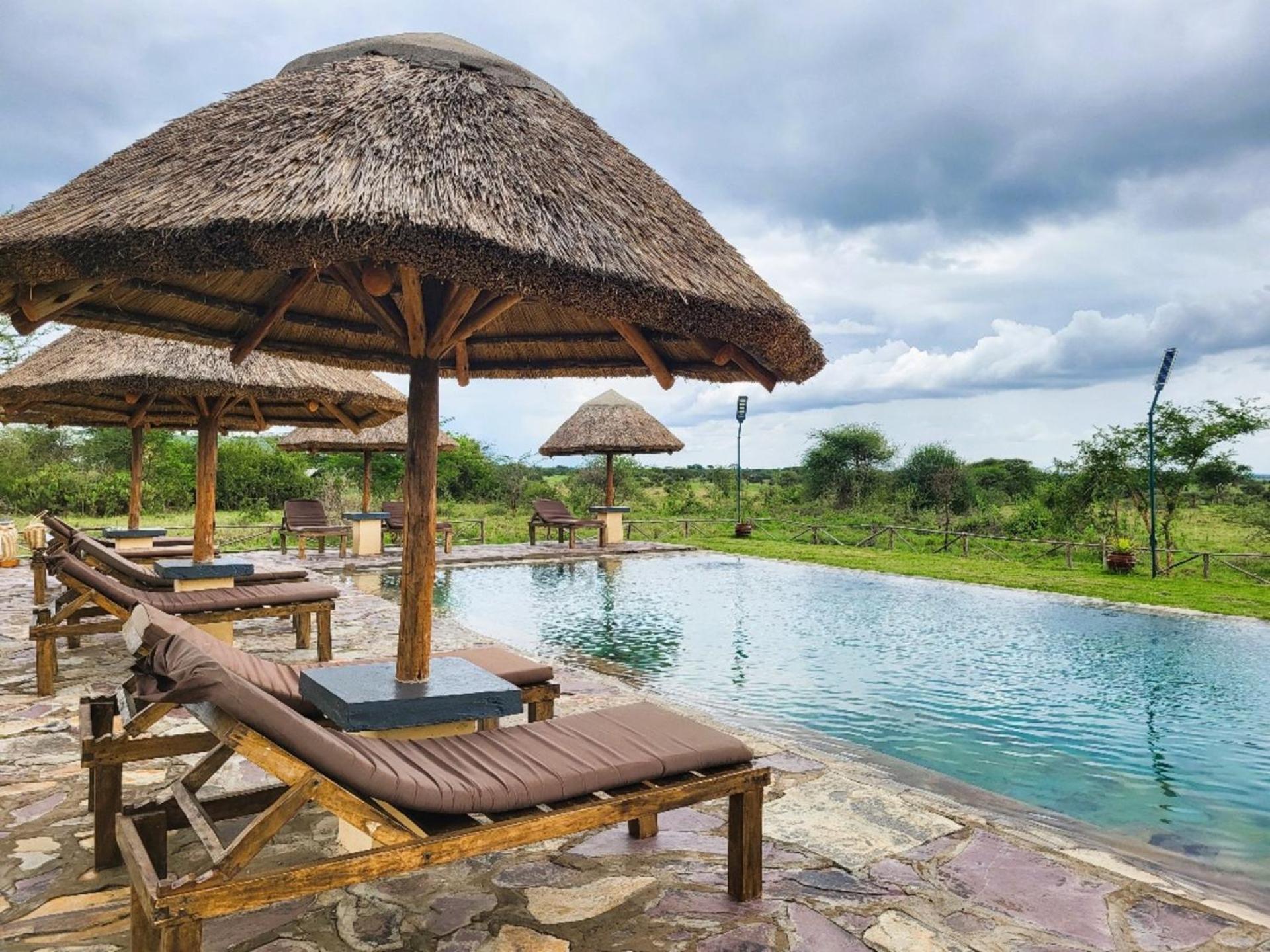 Africa Safari Serengeti Ikoma Zewnętrze zdjęcie